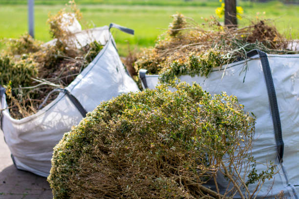 Best Yard Waste Removal  in Duson, LA